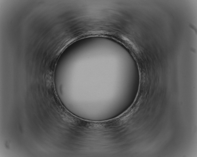 X0000091221361200709061451