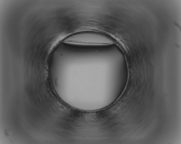 X0000091221363200709061451