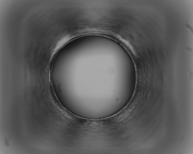 X0000091221365200709061451