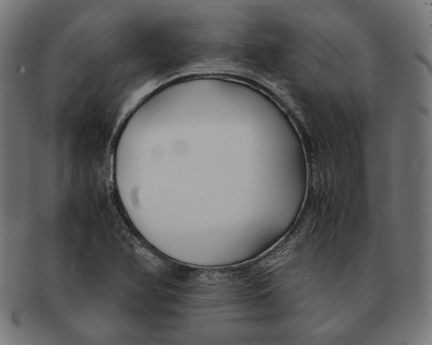 X0000091221366200709061451