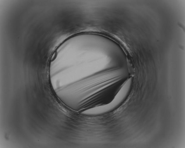 X0000091221367200709061451