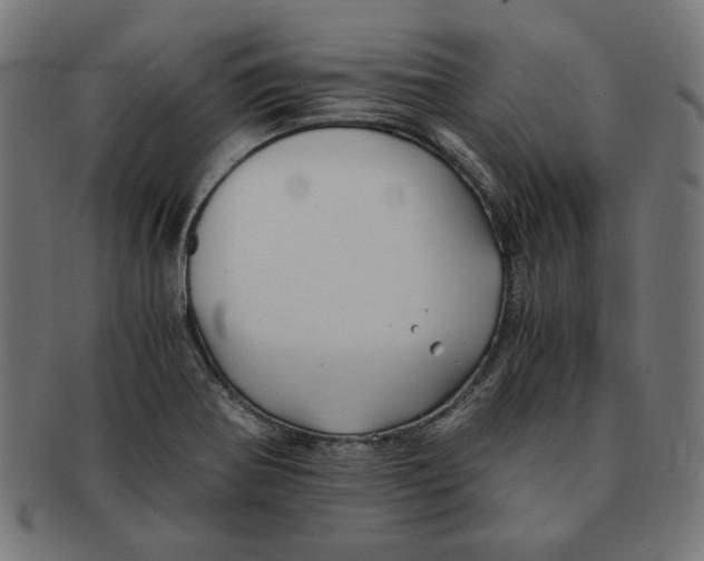 X0000091221370200709061451