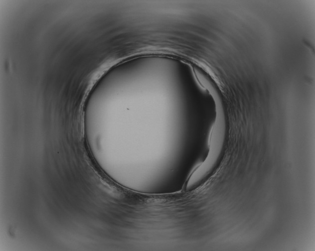 X0000091221371200709061451