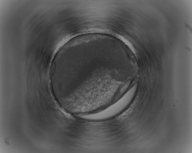 X0000091221373200709061451