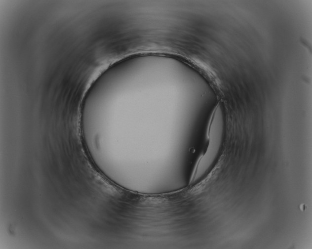 X0000091221374200709061451