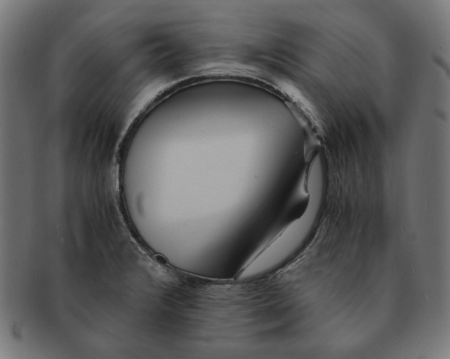 X0000091221376200709061450