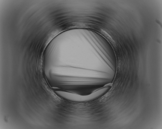 X0000091221378200709061450