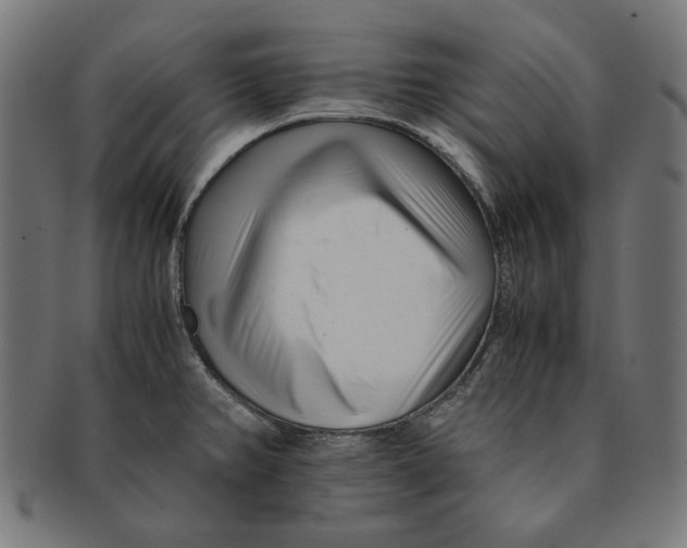 X0000091221382200709061450