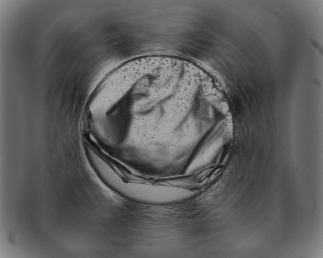 X0000091221383200709061450