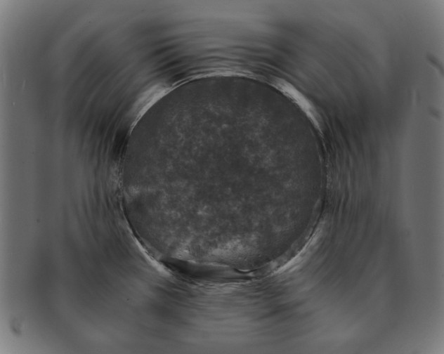 X0000091221385200709061450