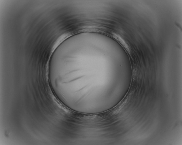 X0000091221386200709061450