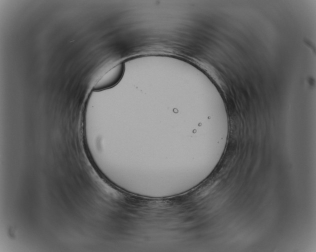 X0000091221387200709061450