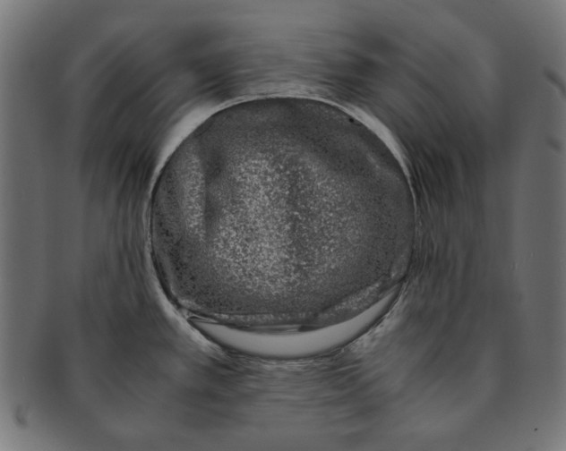 X0000091221389200709061450