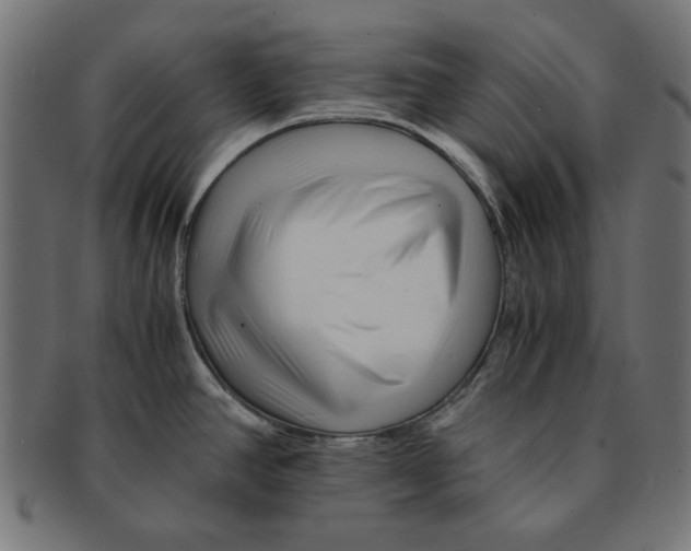 X0000091221390200709061450