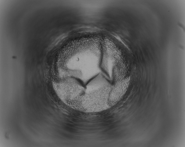 X0000091221399200709061450