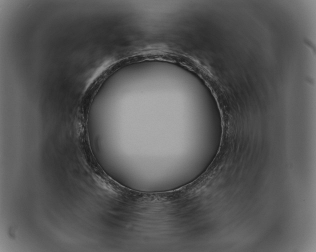 X0000091221400200709061450