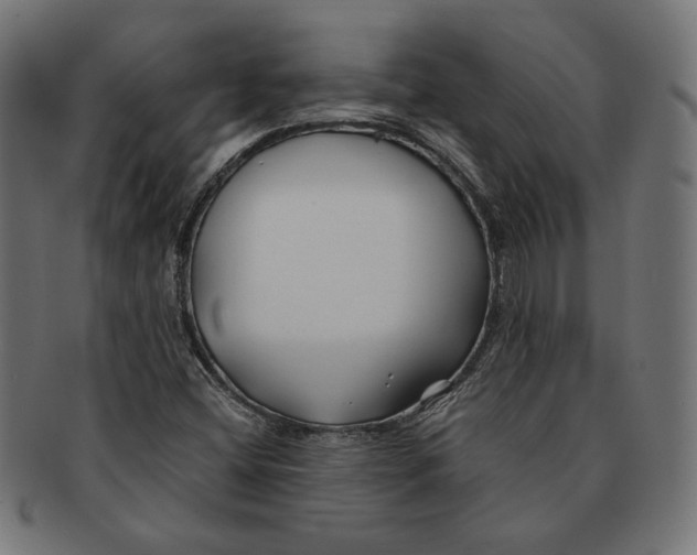 X0000091221404200709061450