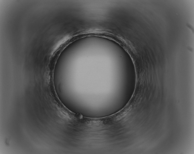 X0000091221406200709061450