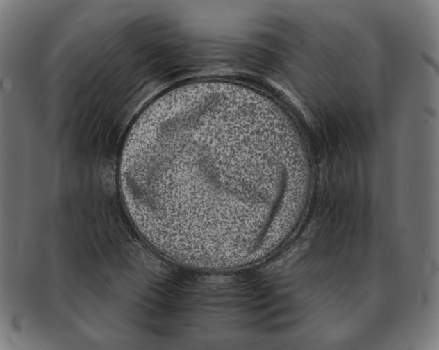 X0000091221409200709061450