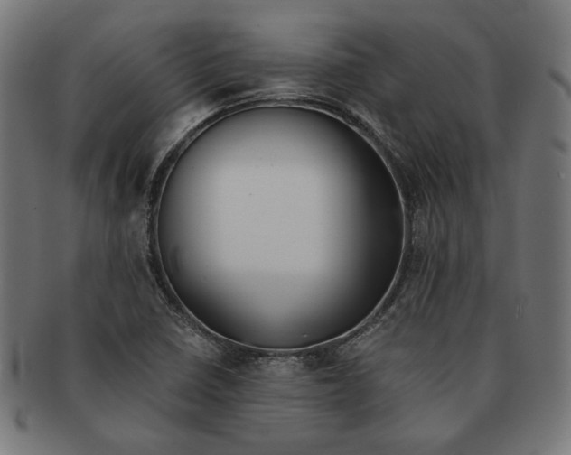 X0000091221410200709061450