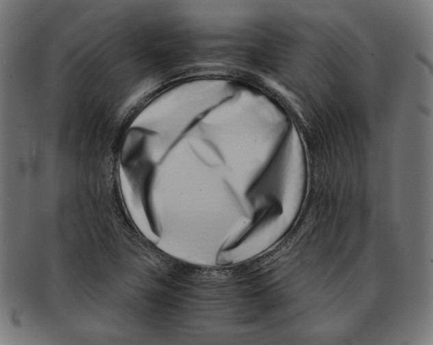 X0000091221411200709061450