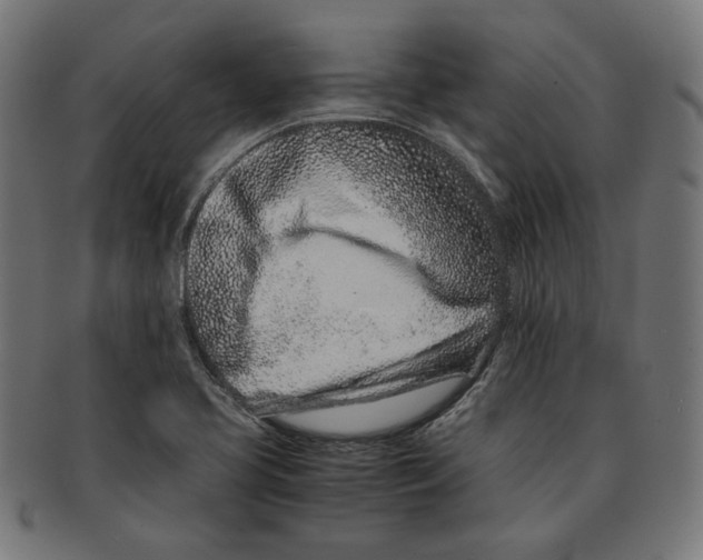 X0000091221413200709061450