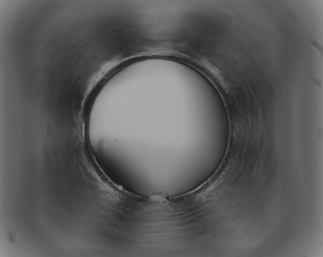 X0000091221414200709061450