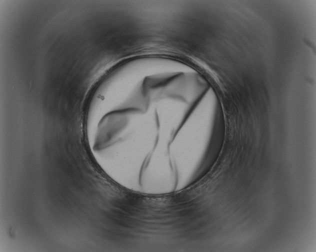 X0000091221415200709061450