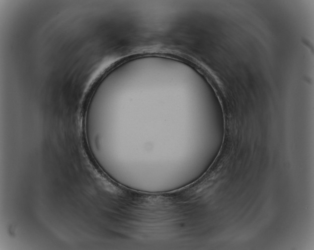 X0000091221416200709061450