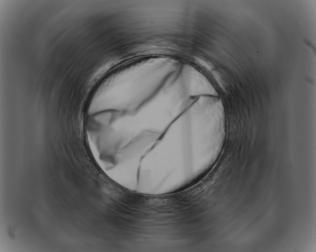 X0000091221419200709061450