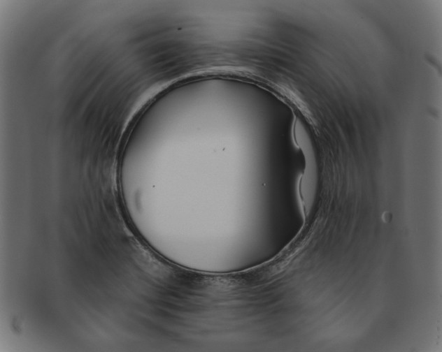 X0000091221420200709061450