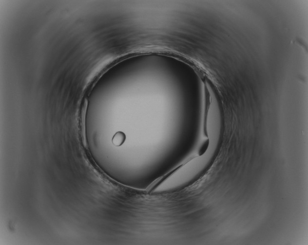 X0000091221422200709061450