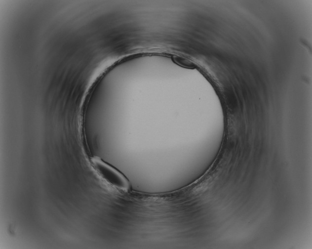 X0000091221424200709061450