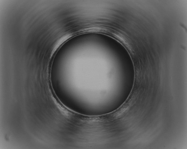 X0000091221426200709061450