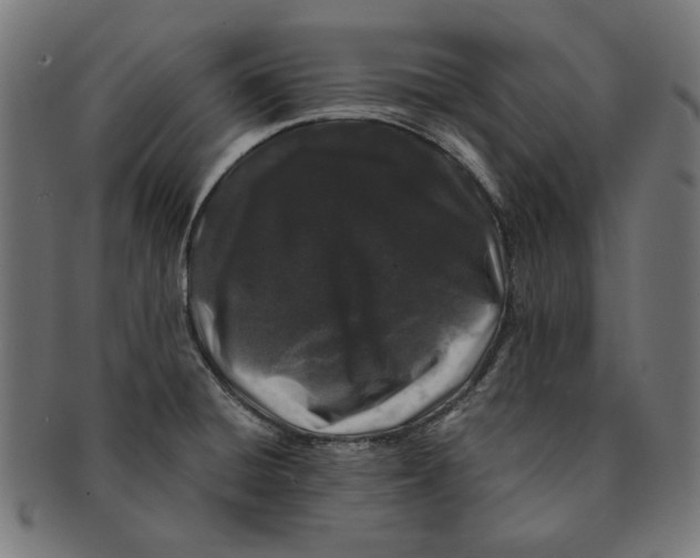 X0000091221428200709061450