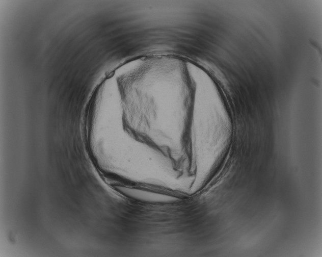 X0000091221429200709061450