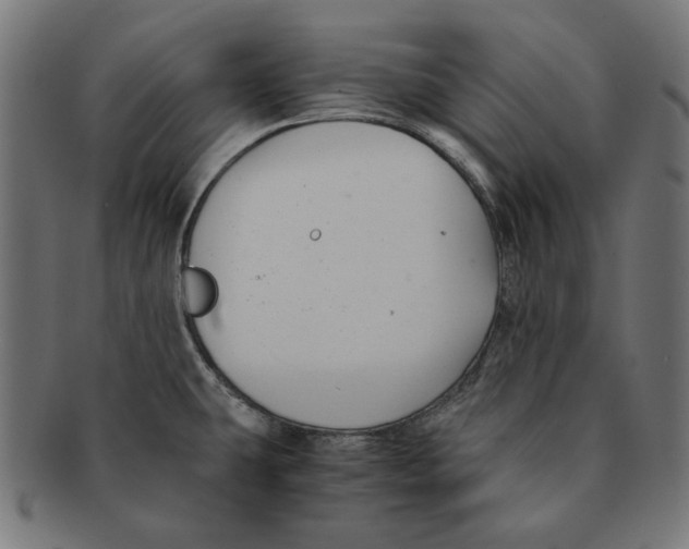 X0000091221431200709061450