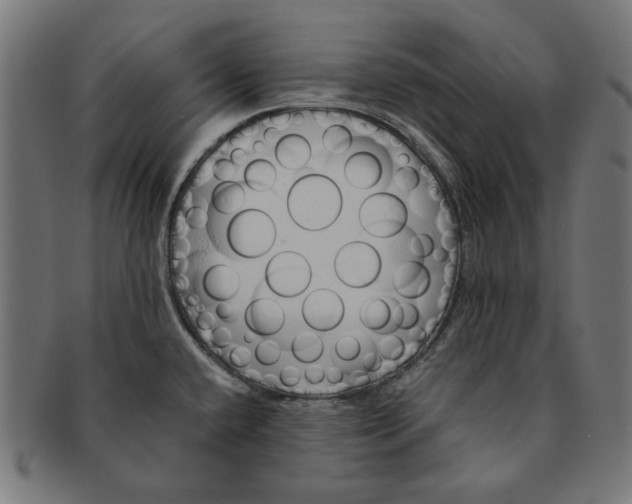 X0000091221432200709061450