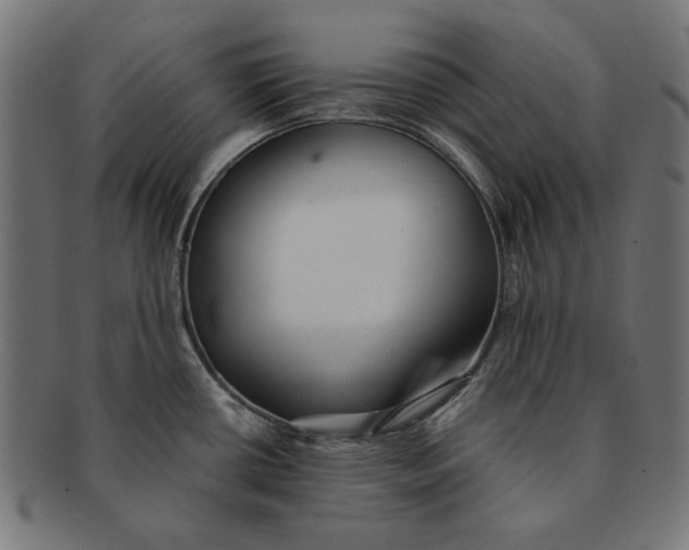 X0000091221434200709061450