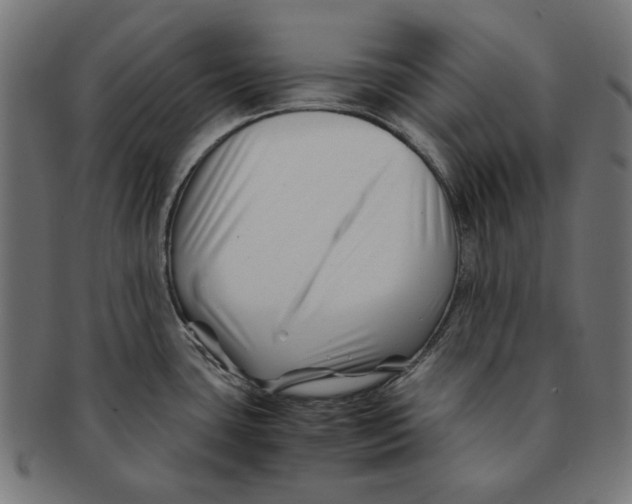 X0000091221435200709061450