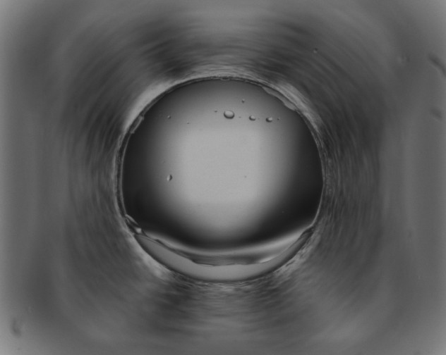 X0000091221438200709061450