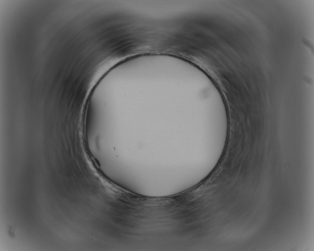 X0000091221440200709061450