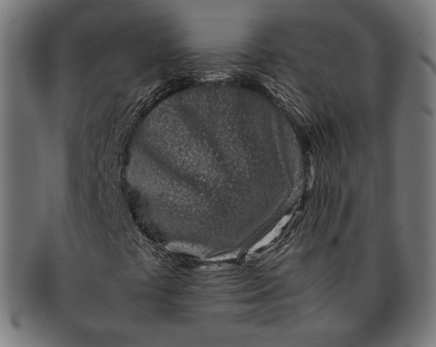 X0000091221441200709061450