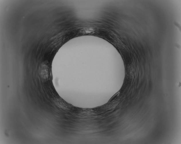 X0000091221442200709061450