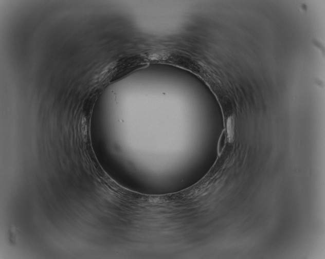 X0000091221443200709061450