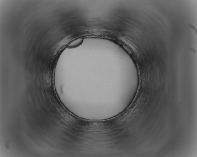 X0000091221451200709061450