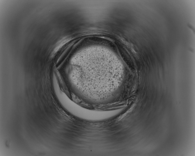 X0000091221453200709061450