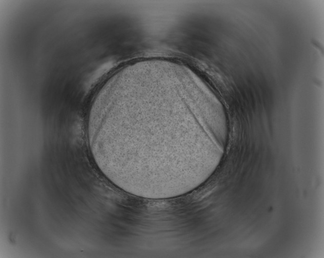 X0000091221454200709061450