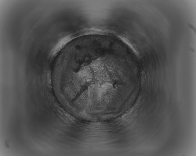 X0000091221455200709061450