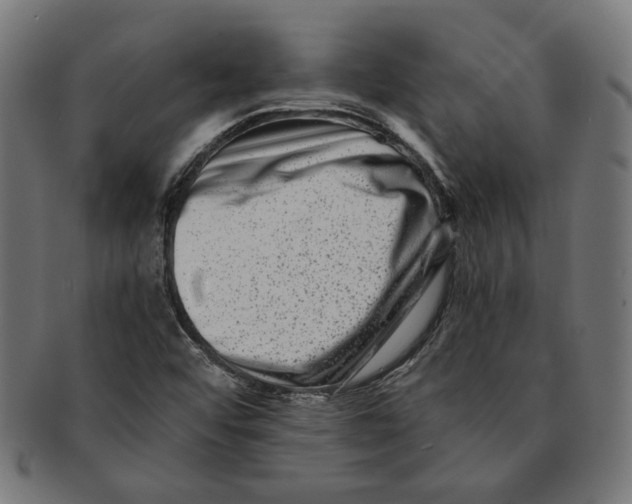 X0000091221456200709061450